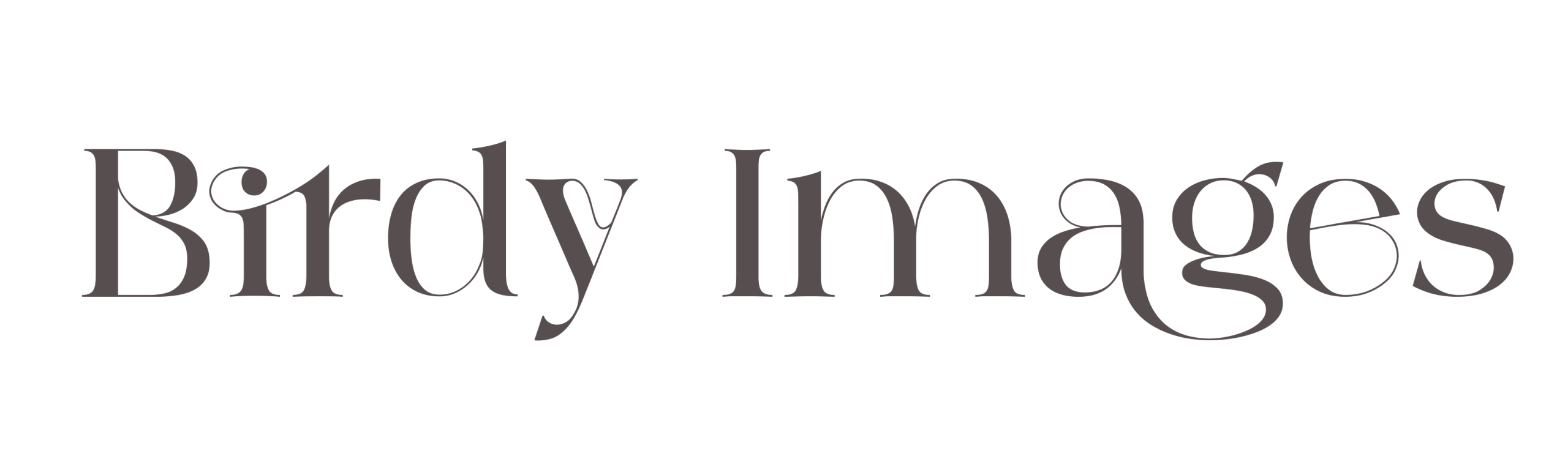 Birdy Images